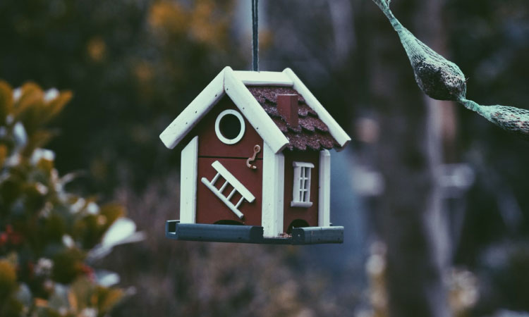 Cómo elegir adornos originales para decorar tu árbol de Navidad