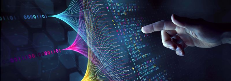 Leila Wang Aztec Protocol Linkedin - Premium Nature Image - High Resolution