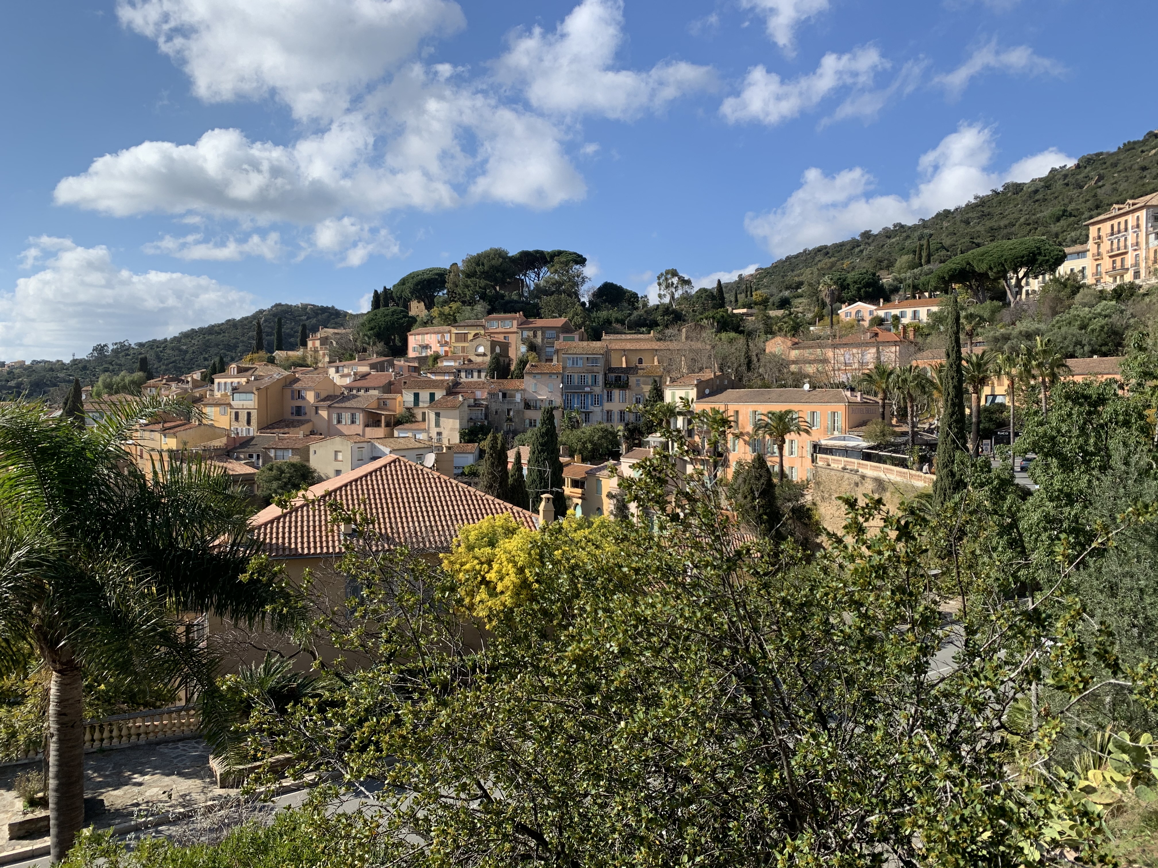 BORMES LES MIMOSAS