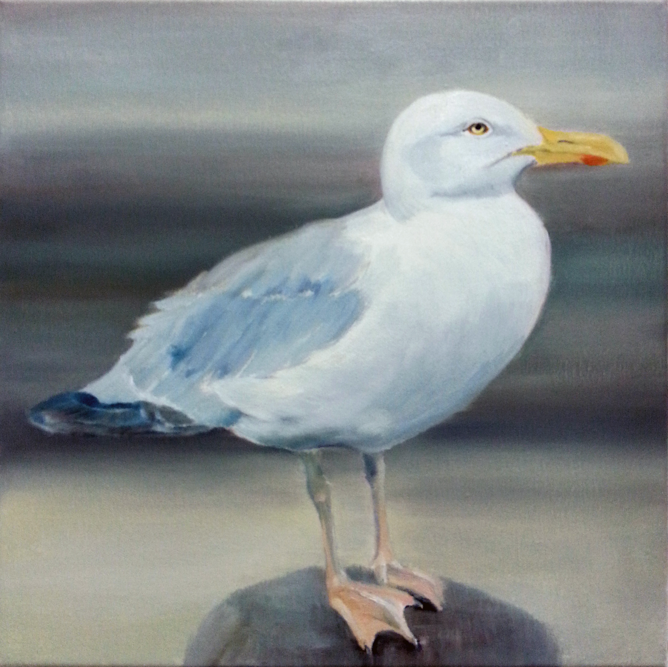 Möwe I / Öl auf Leinwand / 30 x 30 cm / 2018