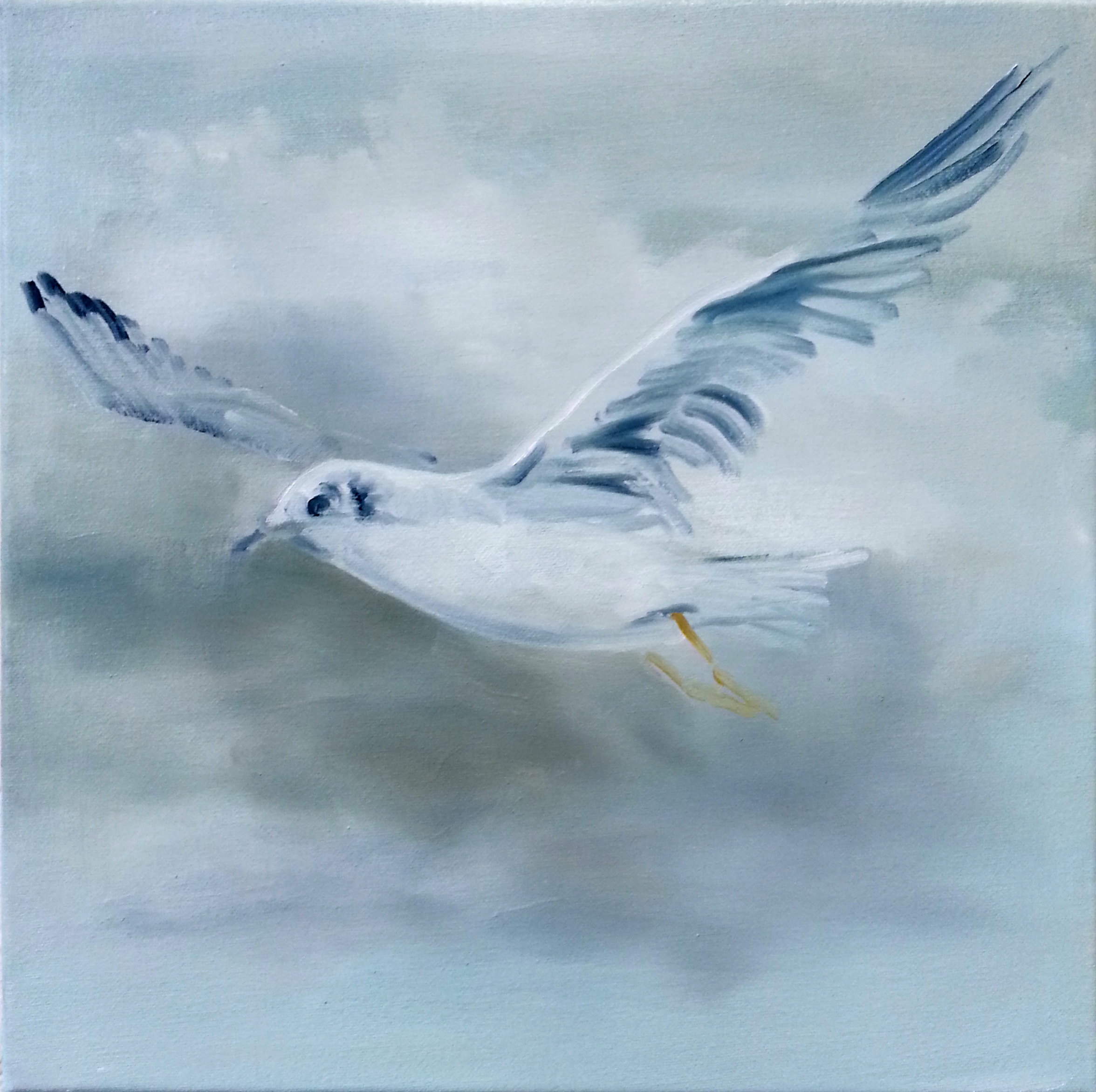 Möwe III / Öl auf Leinwand / 30 x 30 cm / 2018