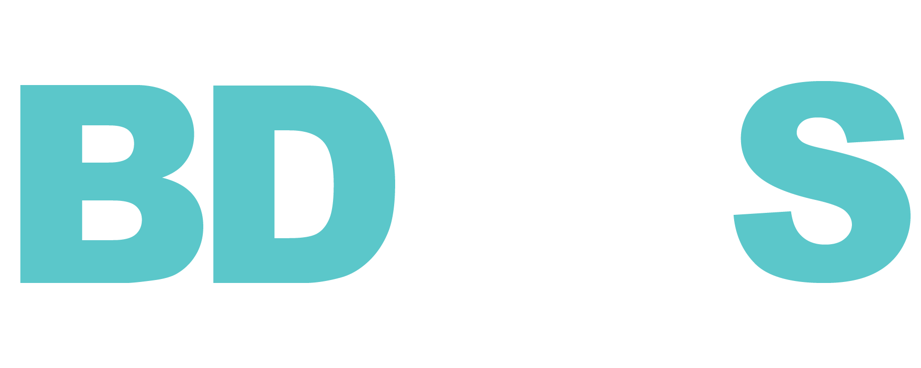 BDaaS