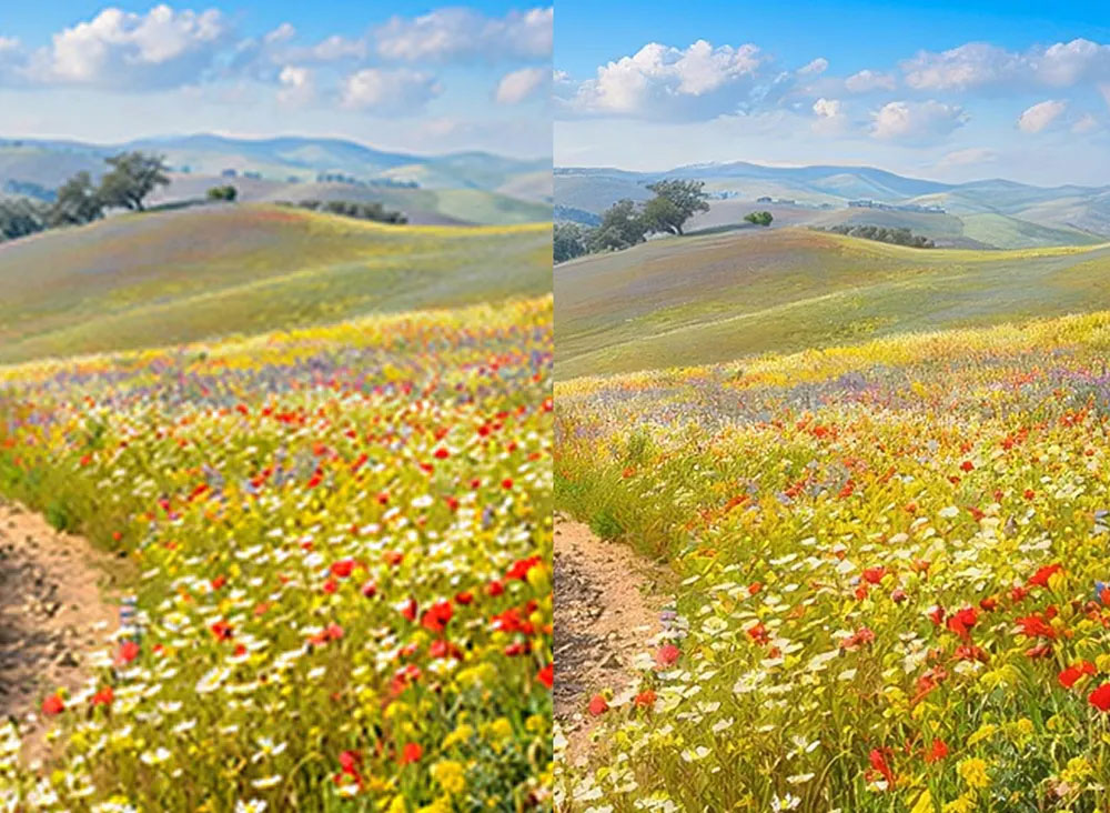 Adobe Firefly Upscale Image Review: AI-Powered Resolution Enhancement Built Into Your Photoshop and Lightroom Workflow