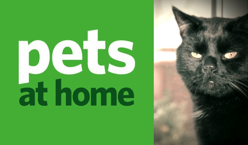Pet At Home Интернет Магазин