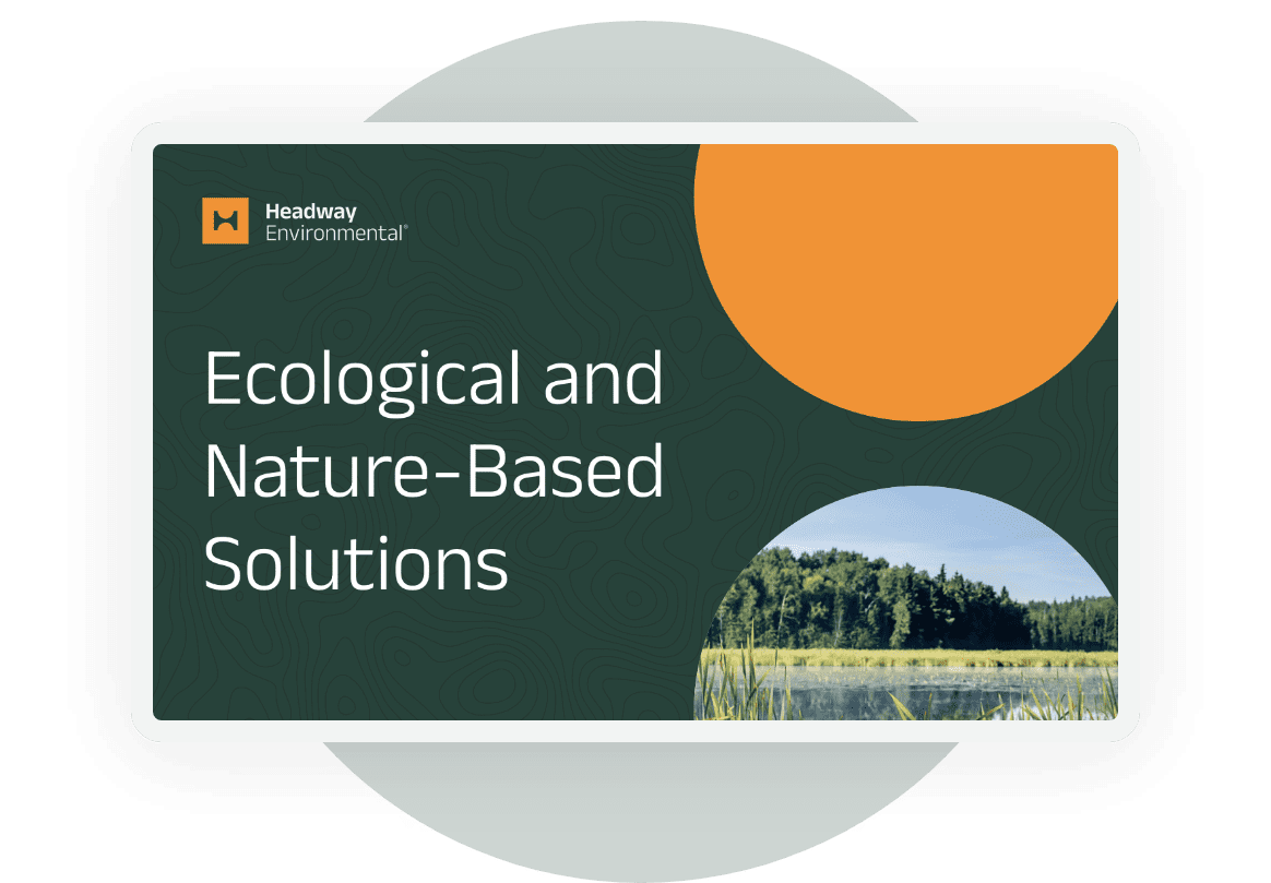 Nature Based Solutions Rivus Ecological Engineering - 8K Geometric Pictures for Desktop