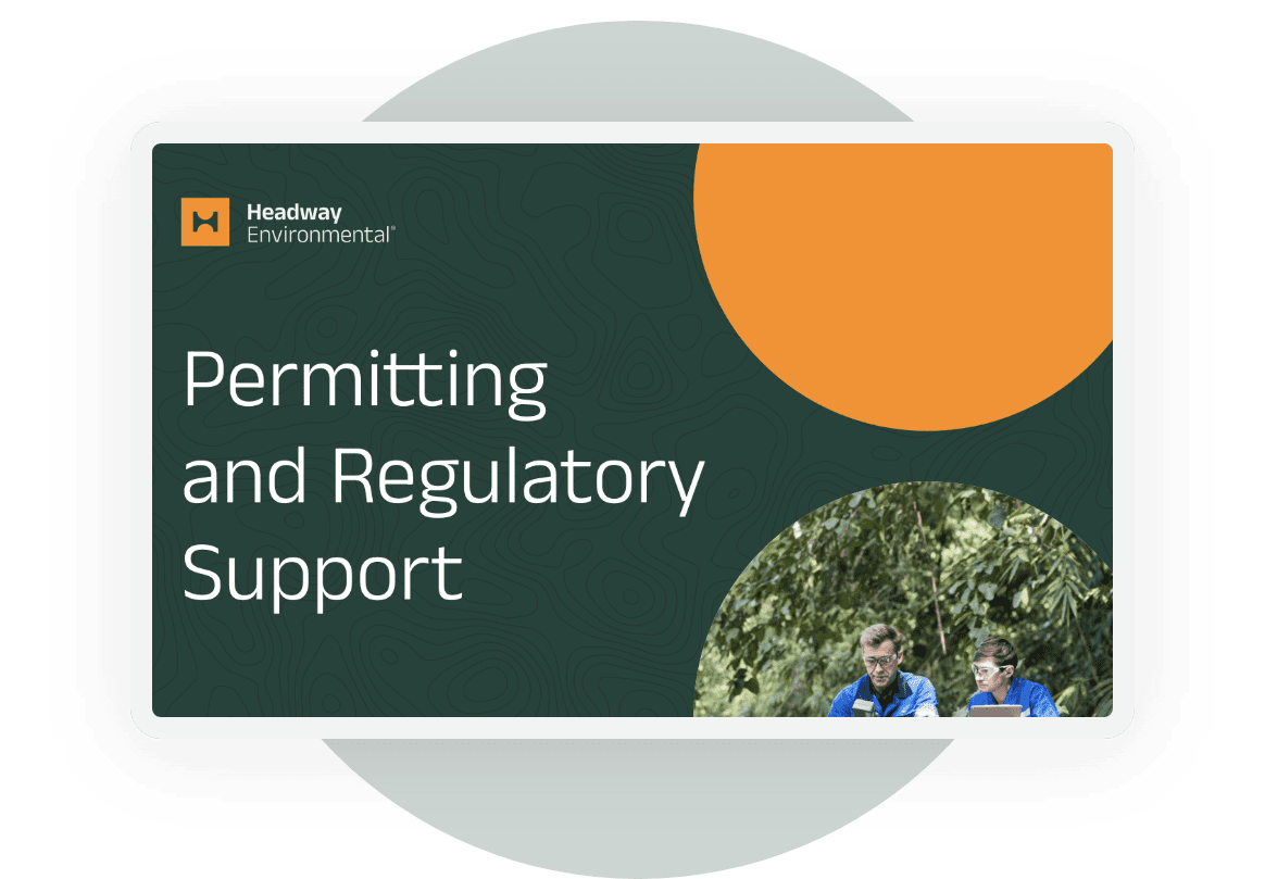 Permitting Enviromental Regulatory Services - Classic City Background - Mobile