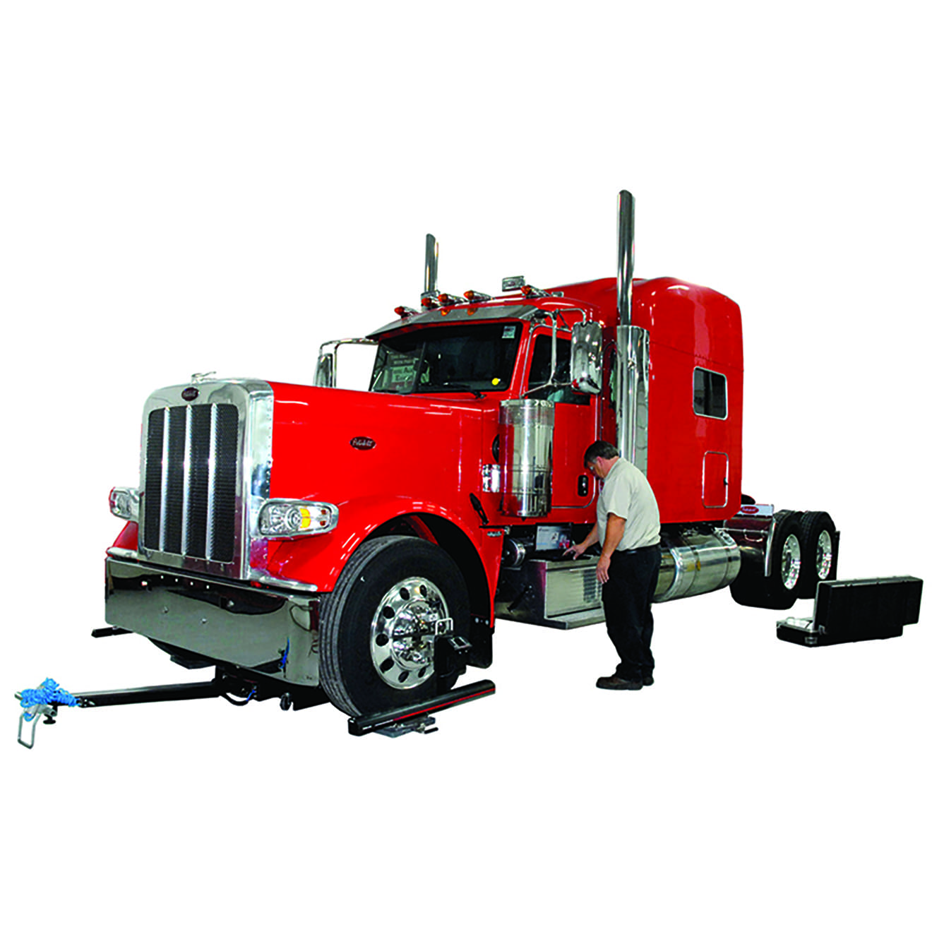 All Members Bee Line Alignment Service - Geometric Image Collection - Desktop Quality