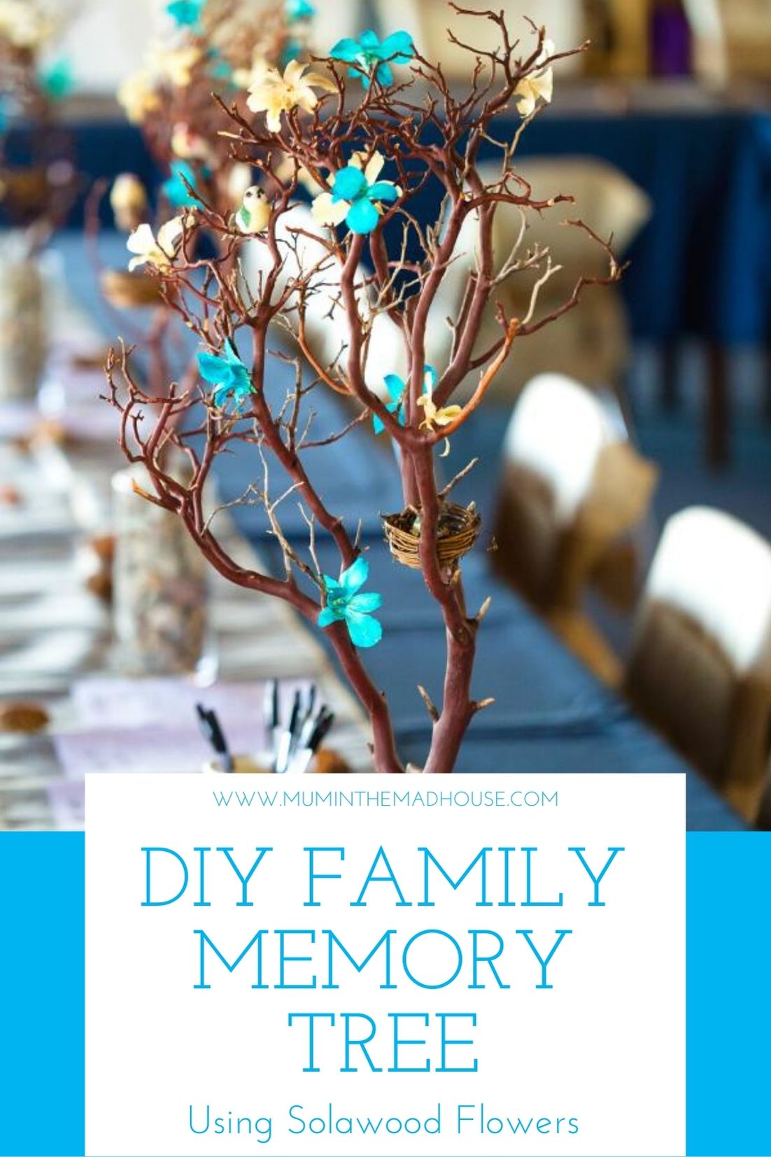 The Willows Create A Memory Tree Excelcare - Premium Mountain Image Gallery - HD