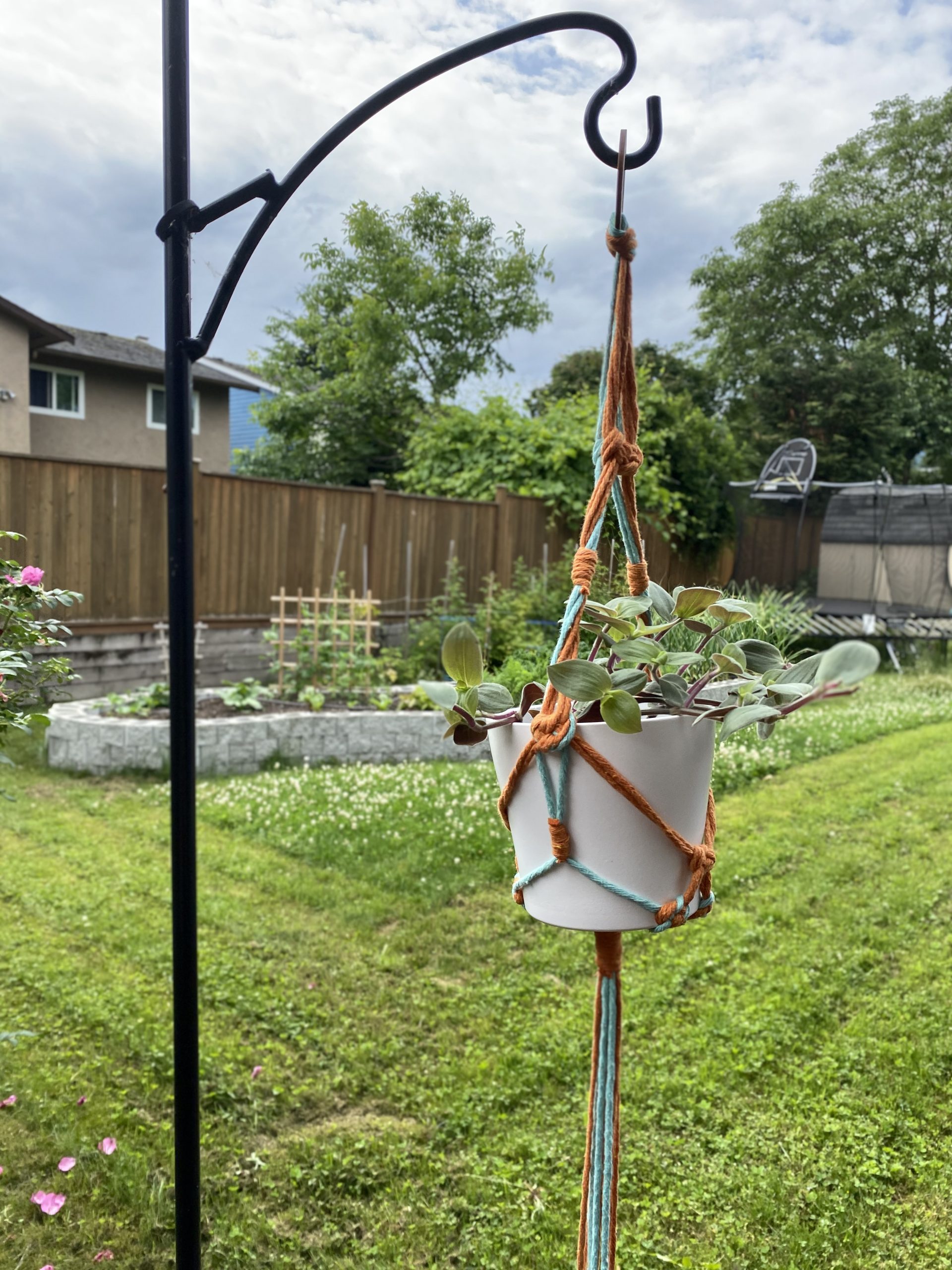 Sarah Elizabeth Fibre Works Macrame Plant Hanger Kit