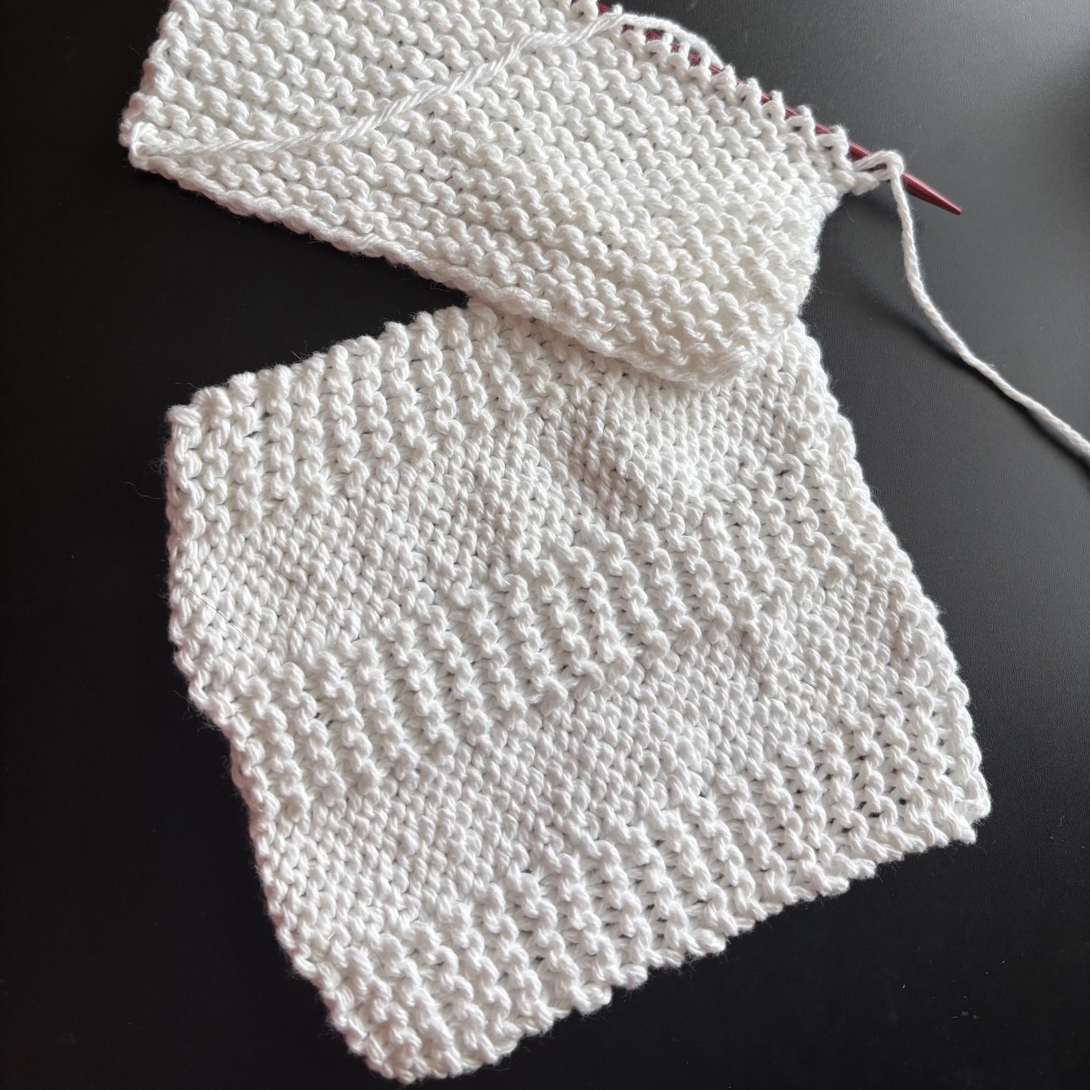 dishcloth (1)