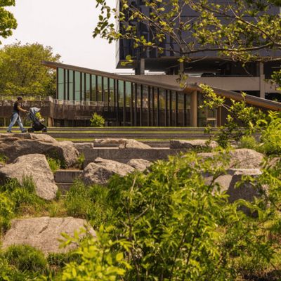 Making Public Spaces More Sustainable The Design Journey Of Jiaying Bai