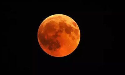 Brasil terá noite de ”Lua de Morango” nesta segunda-feira (29) ; fenômeno poderá ser visto sem telescópio