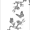 Front Screen Lamination Sheet