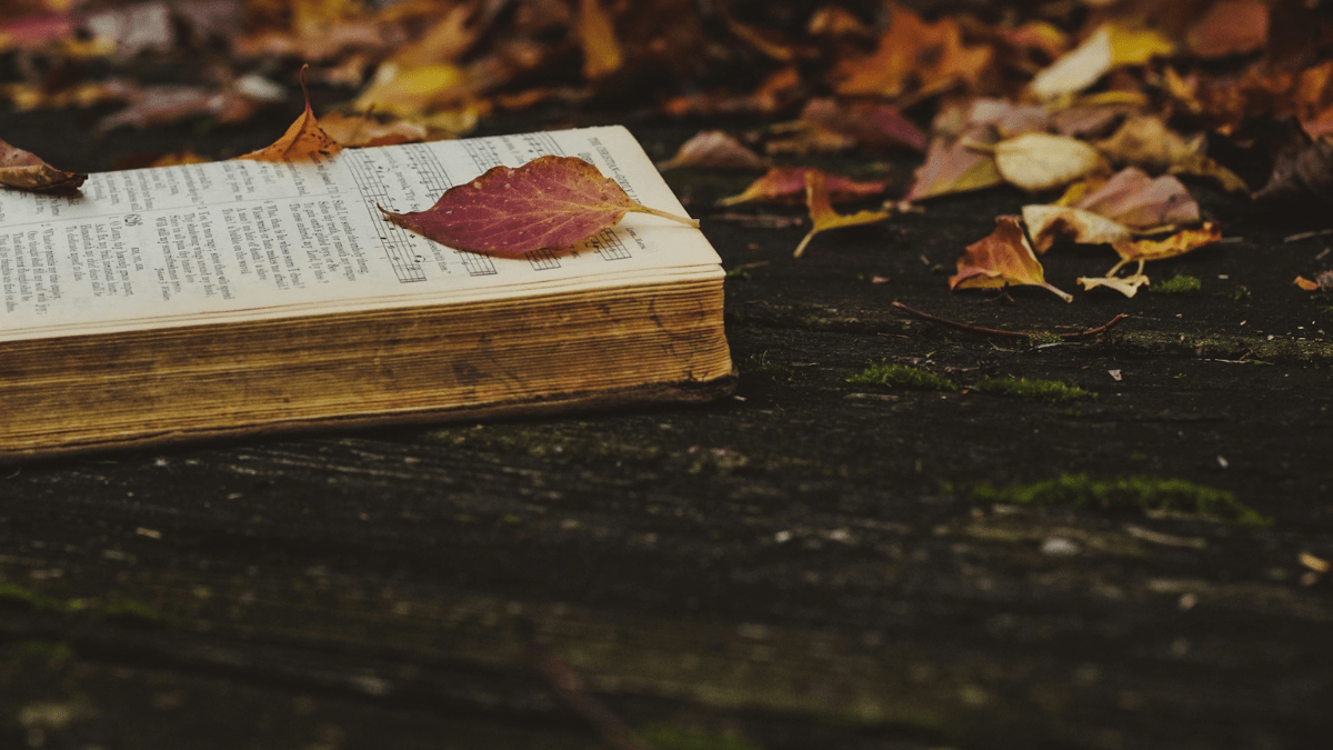 The Best Fall Books: A Reader’s Guide