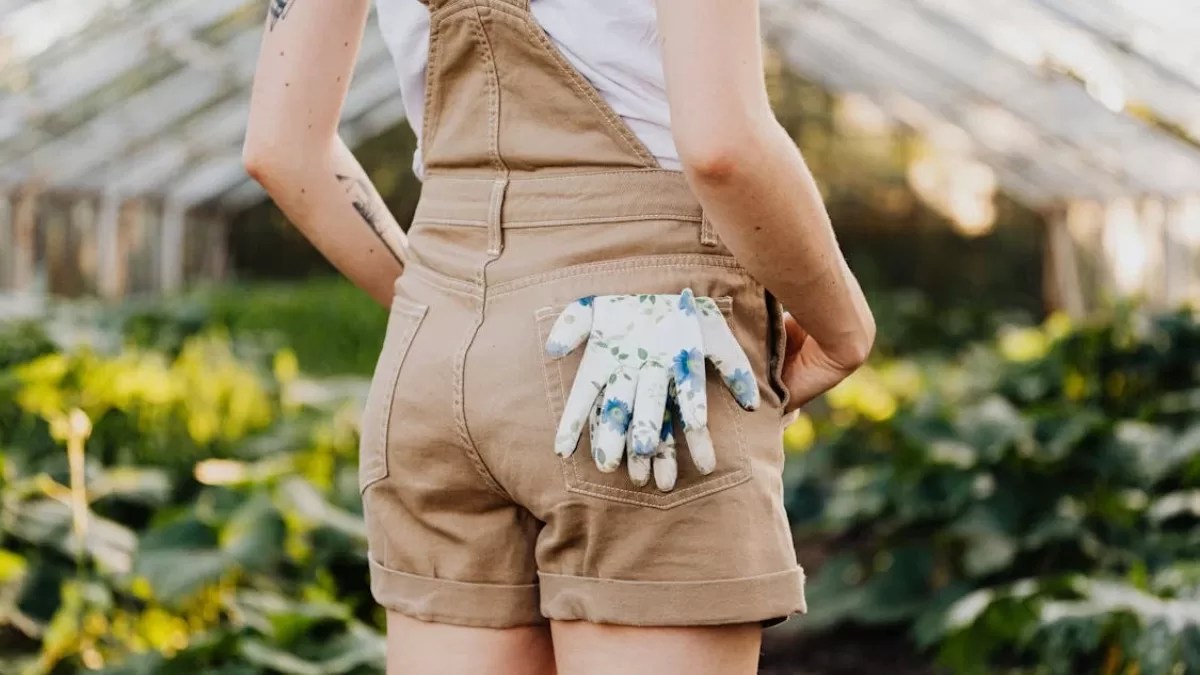 How to Prepare Your Garden for Spring: Essential Tips