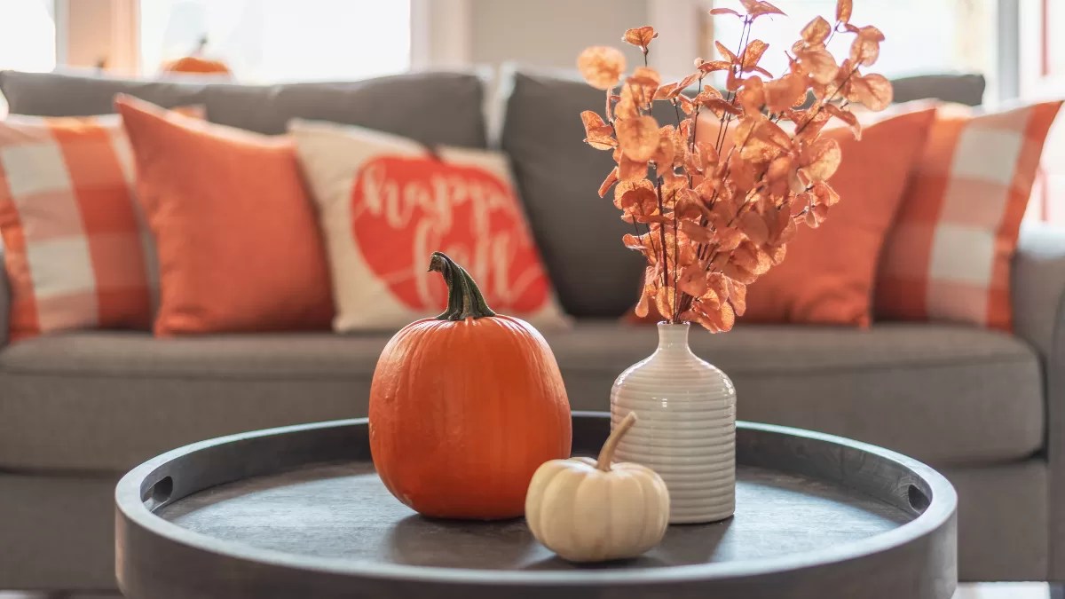 Cozy Fall Decor Ideas That I Love This Season