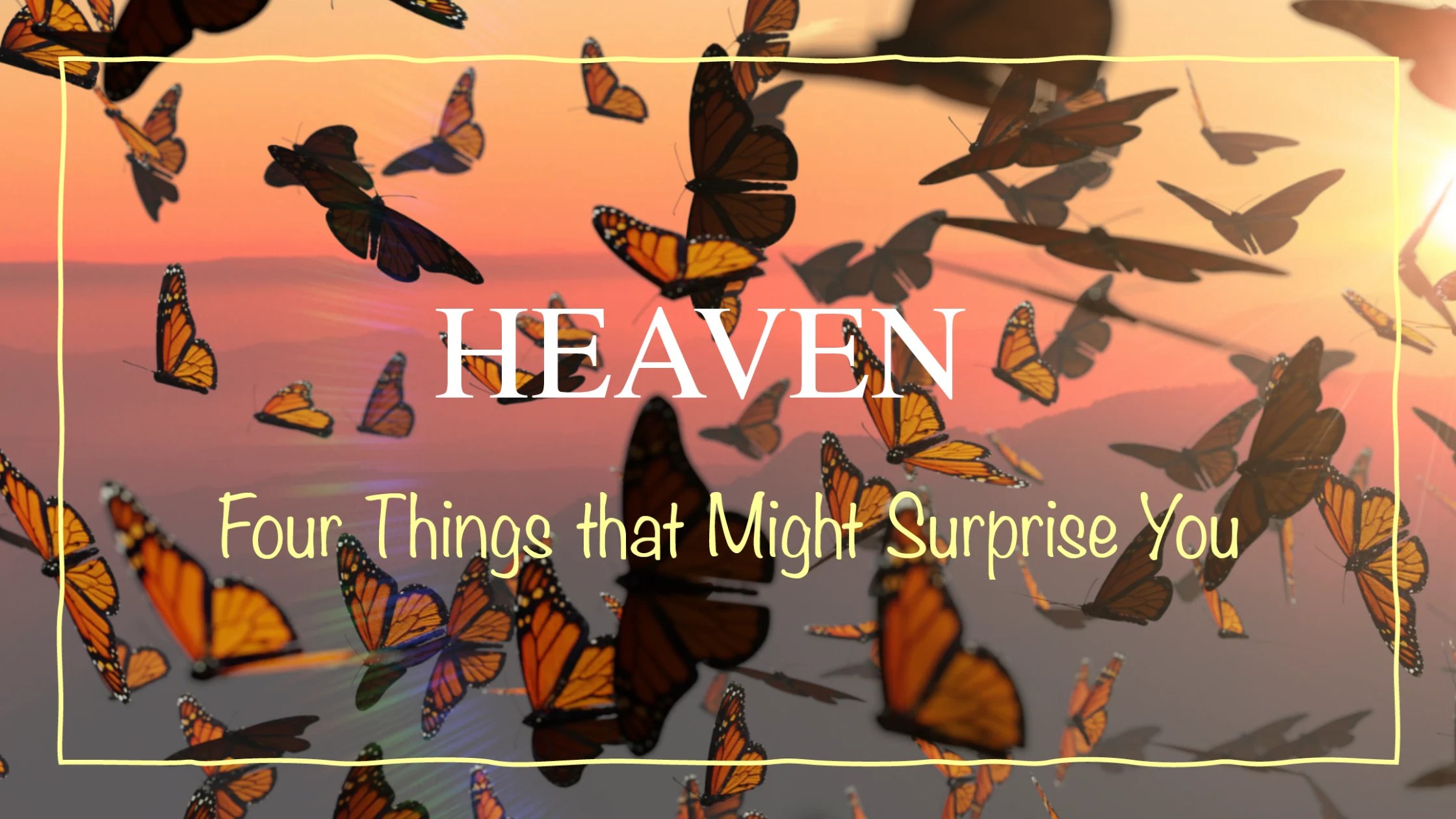 butterflies flying against a pink and orange sky