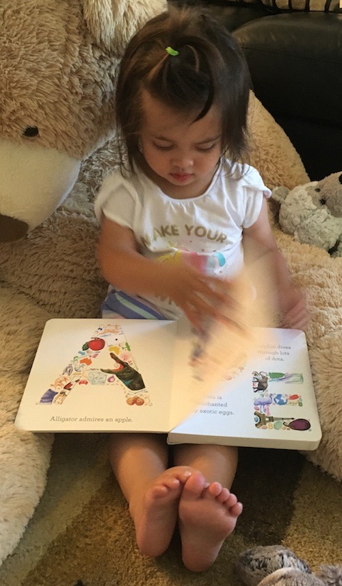 Baby book review: A B See by Elizabeth Doyle -