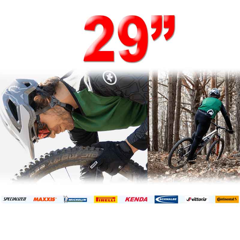 Llanta Mtb 29″