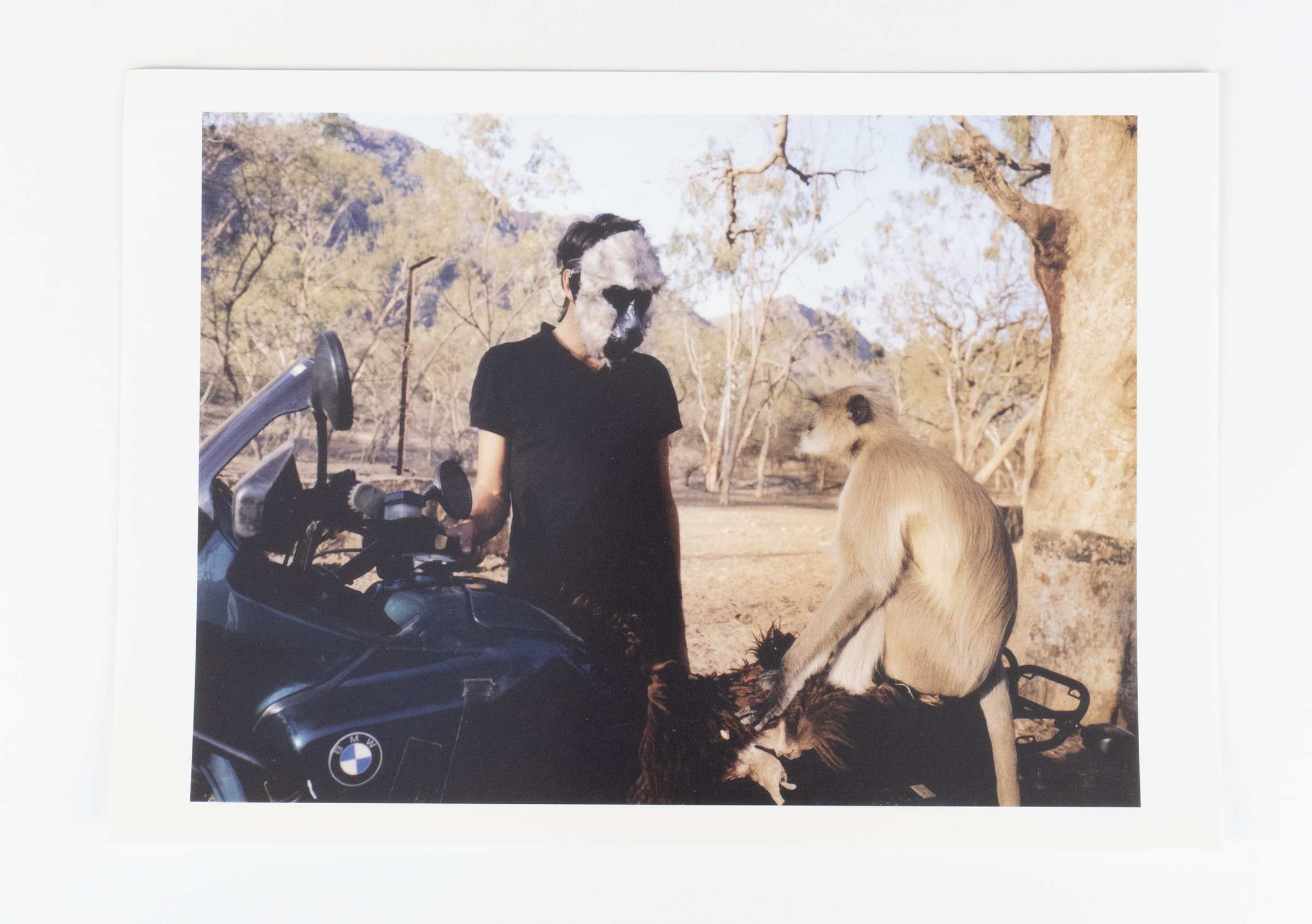 Image of ephemera related to New York Is Eating Me & The Cactus Dance