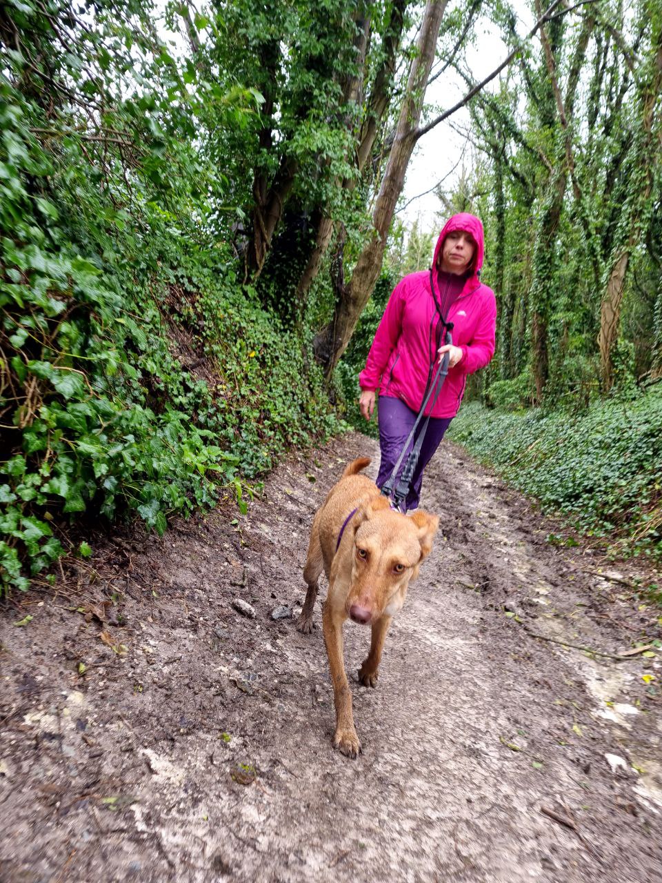 Walkies! Tips for prevention of back pain while walking your dog