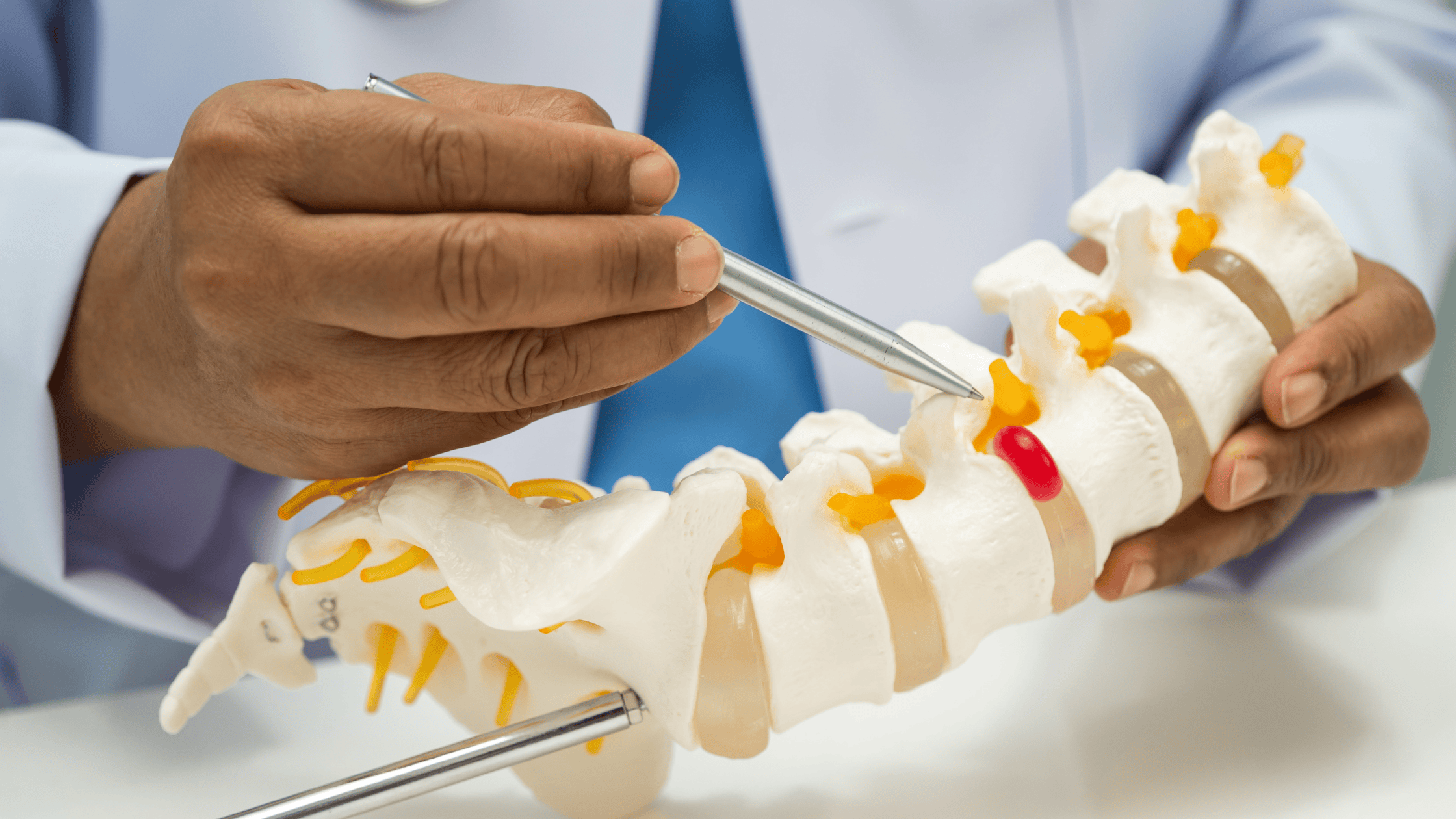 Model of a degenerative spinal disc