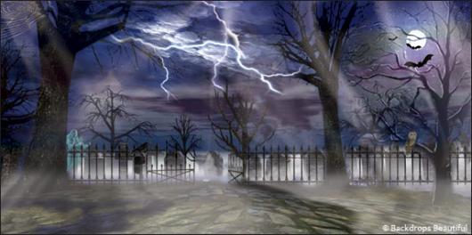 We may earn commission on some of the items you choose to buy. Backdrops Beautiful | Hand Painted Scenic Backdrop Rentals