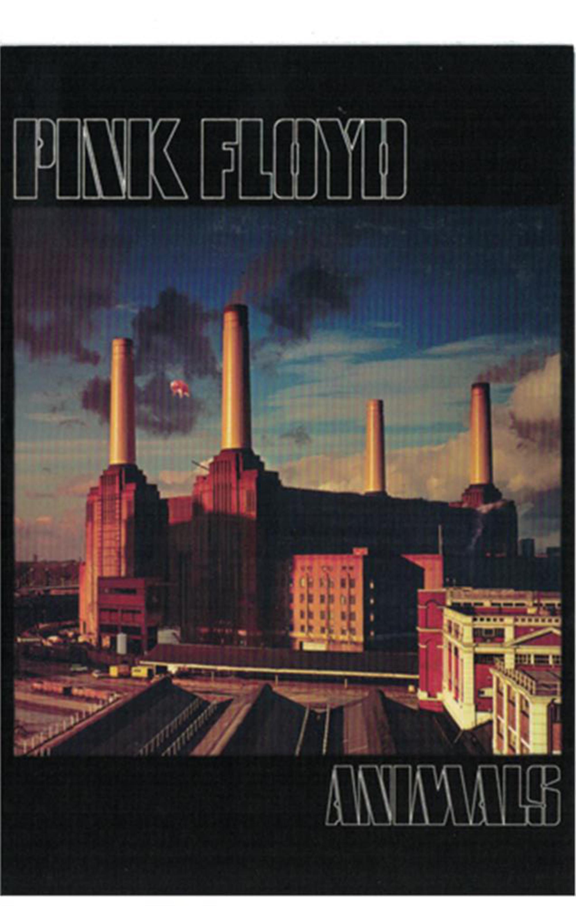 Pink floyd animals postcard novelties