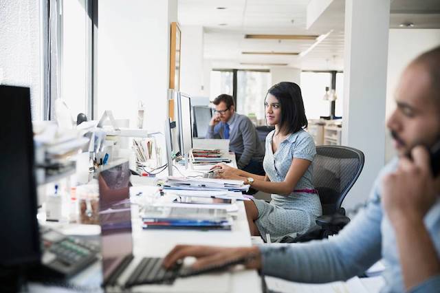 Veremark Pre-Employment Screening Service