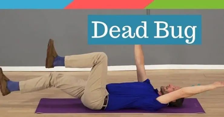 Dead Bug Tutorial For Back Pain Sciatica Recovery - Download Incredible Ocean Wallpaper | 4K