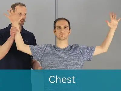 Full Body Mobility Fix Postureflow Formerly Back Intelligence - Download Classic Light Art | High Resolution