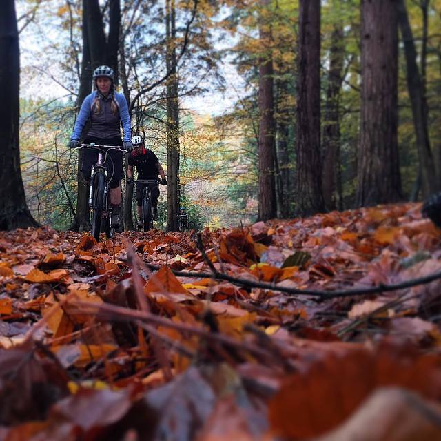 BPR UK: Taz & Her & The Forest