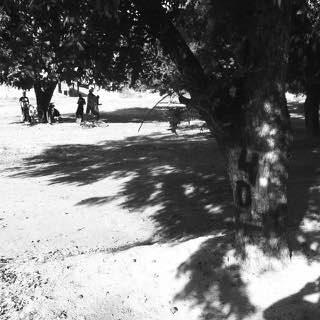 BPR AZ: the beer century