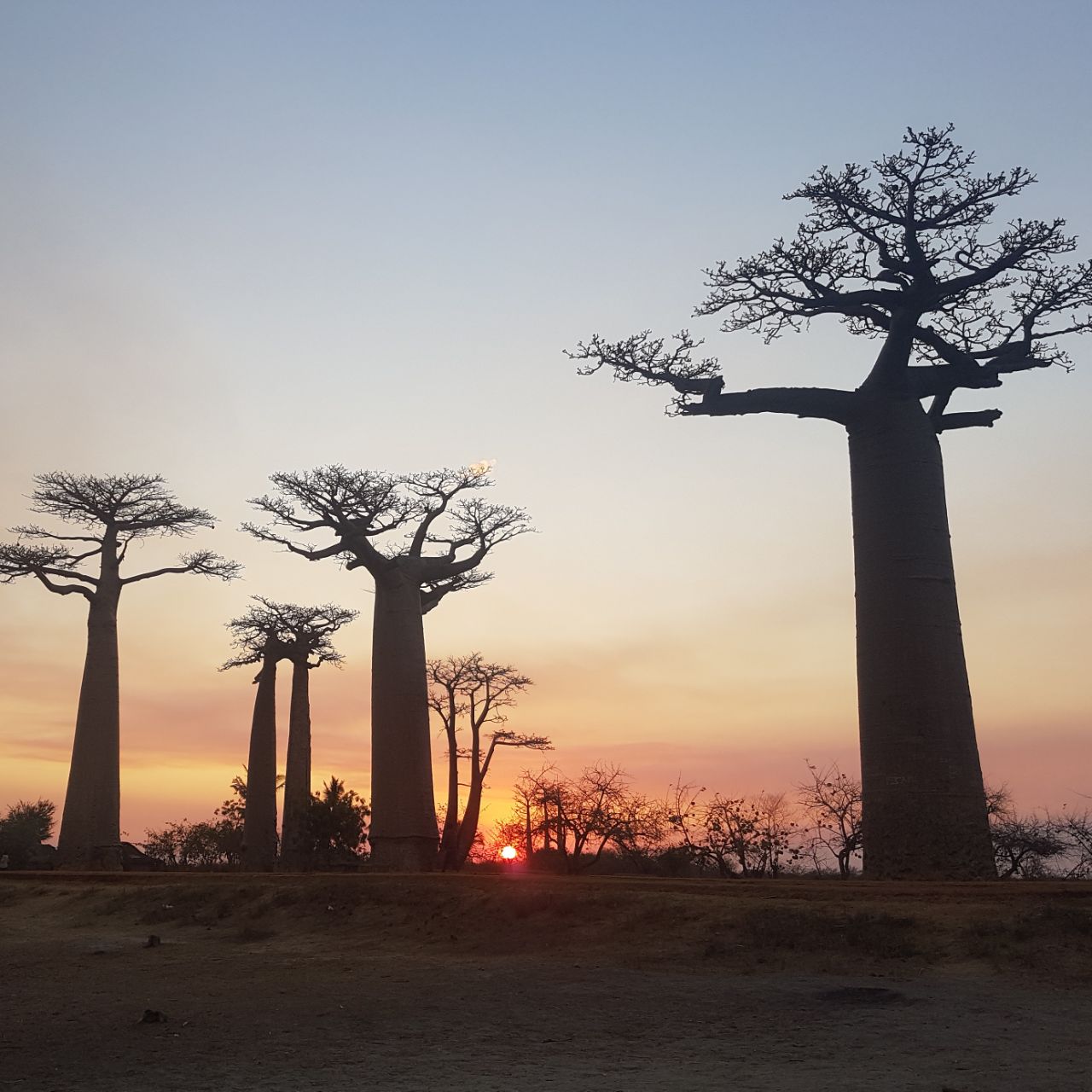 Backpacking Madagaskar