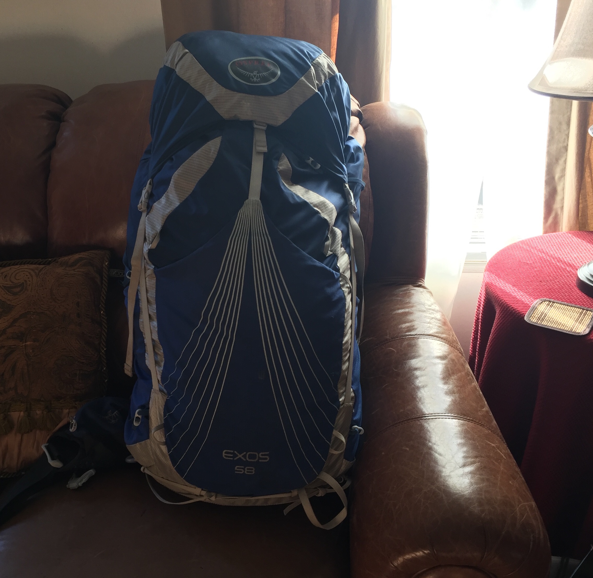 Exos 48 Rei OspreyAtmos AG 65 Pack 