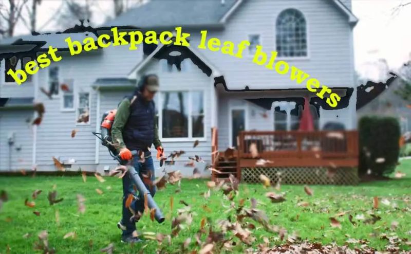 Backpack Leaf Blowers Top Picks - Premium Abstract Background Gallery - Full HD