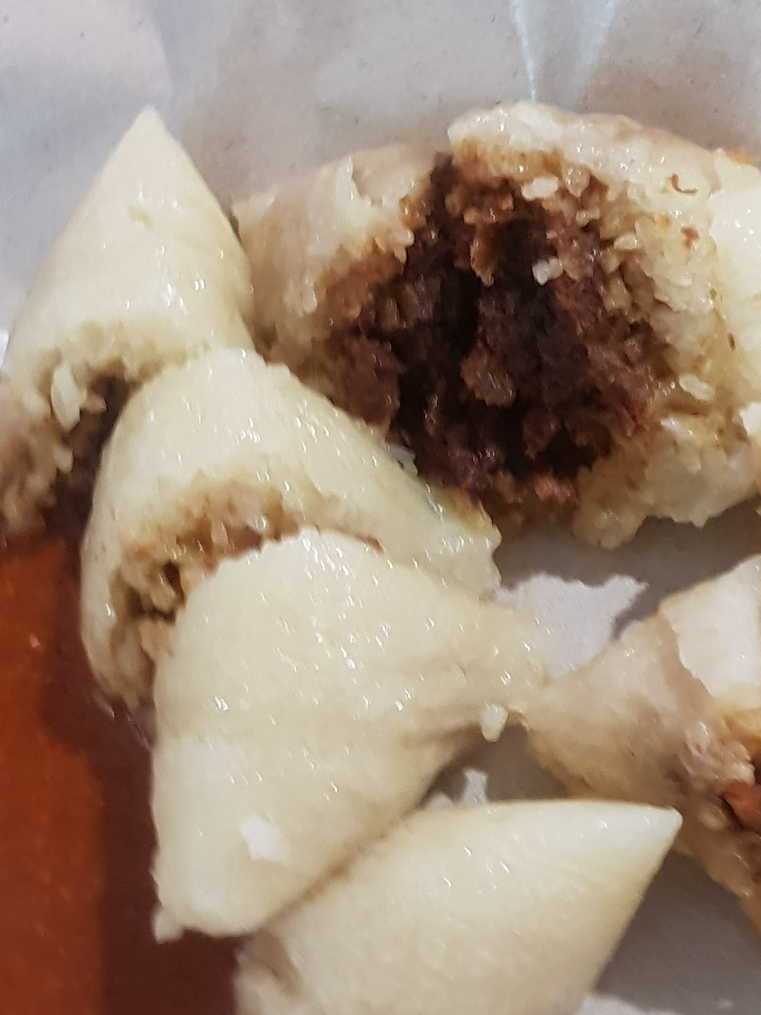nonya dumpling 2