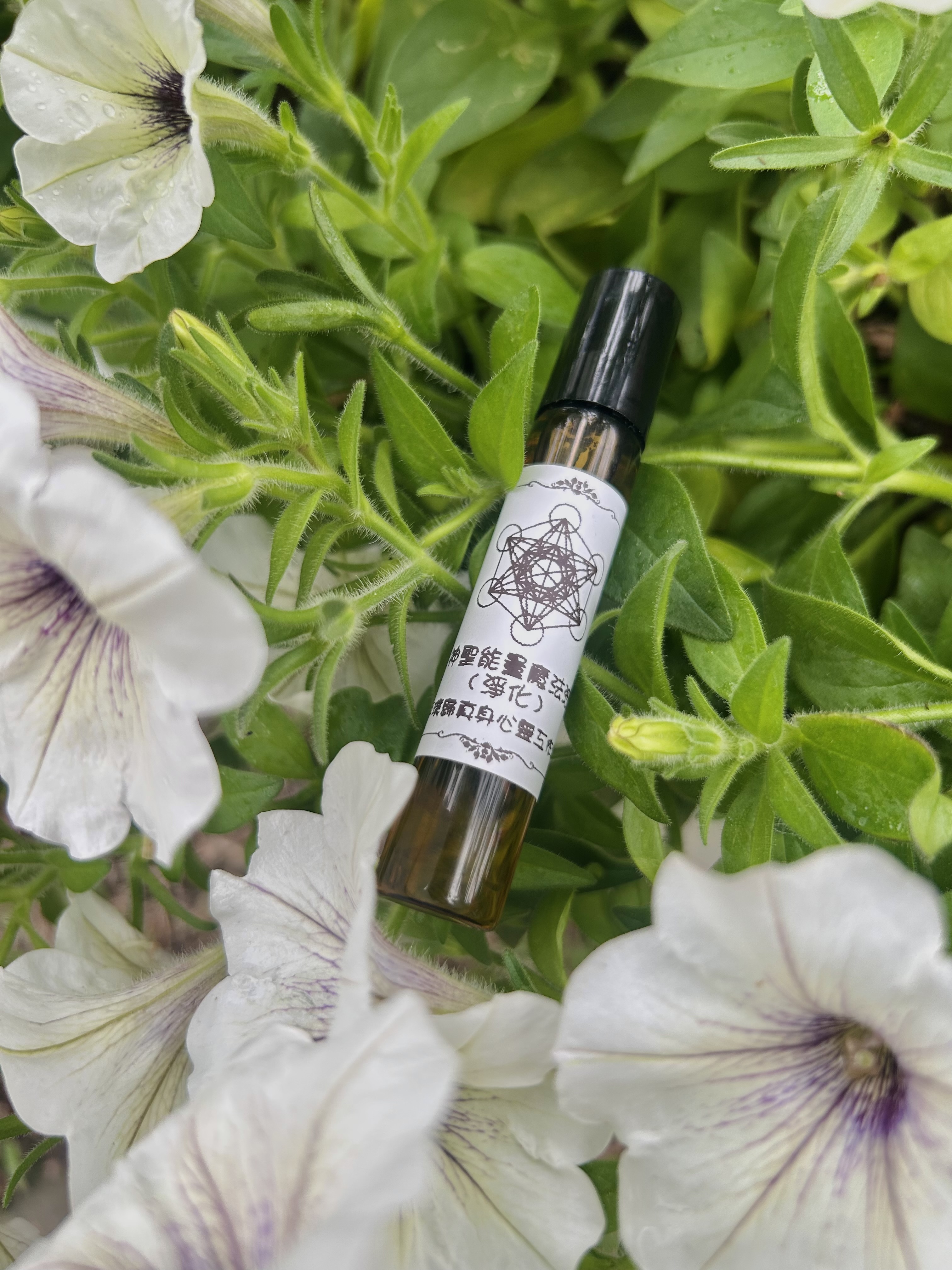 神聖能量滾珠瓶－淨化(10ml)