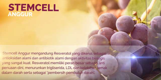 stemcell stemcell