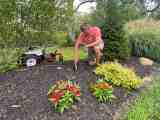 Fall Bulb Planting For Spring Blooms Exmark S Backyard Life