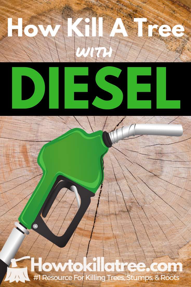 Home Remedies For Stump Rot