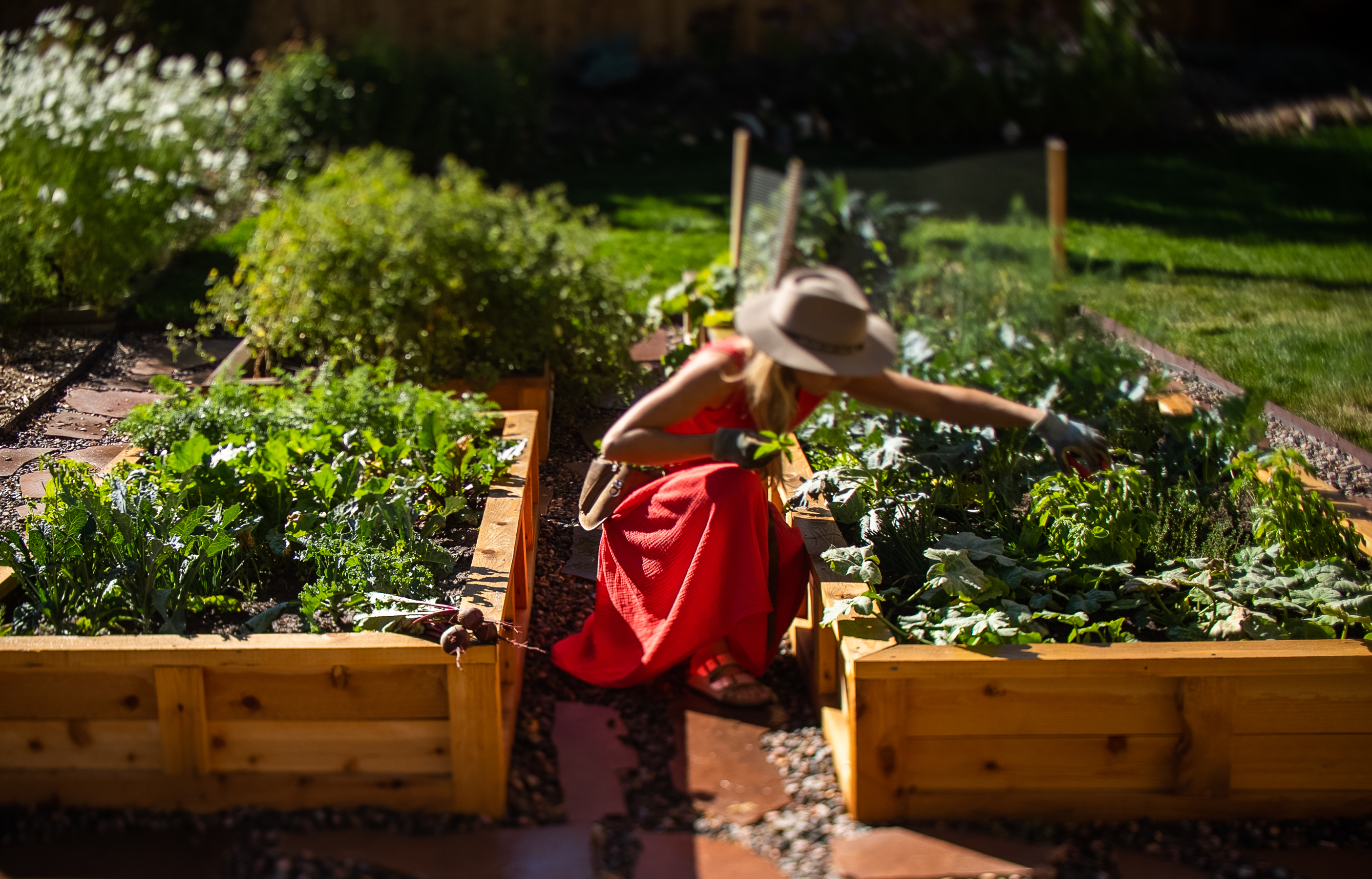 2 Raised Garden Boxes
