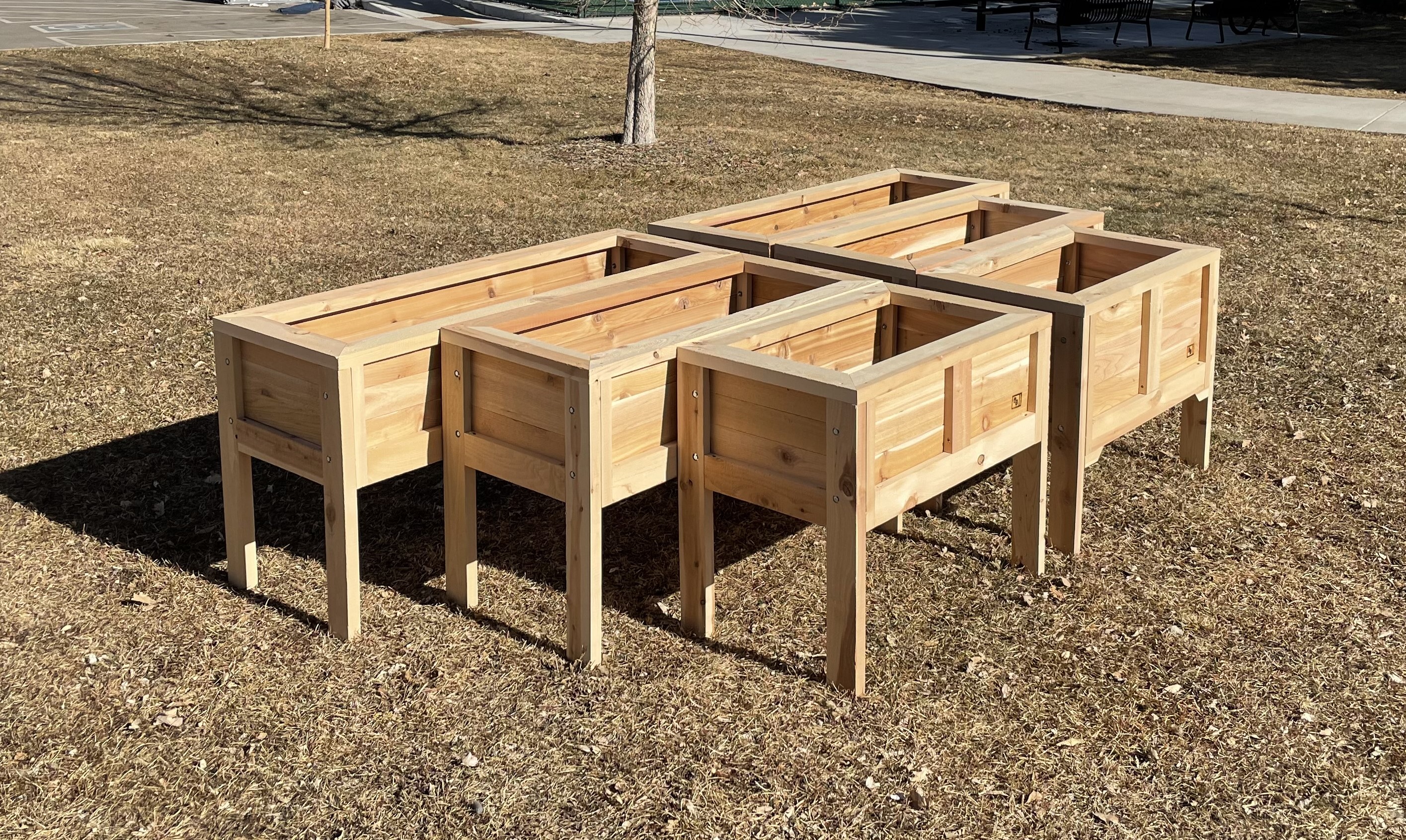 All Six Elevated Versions