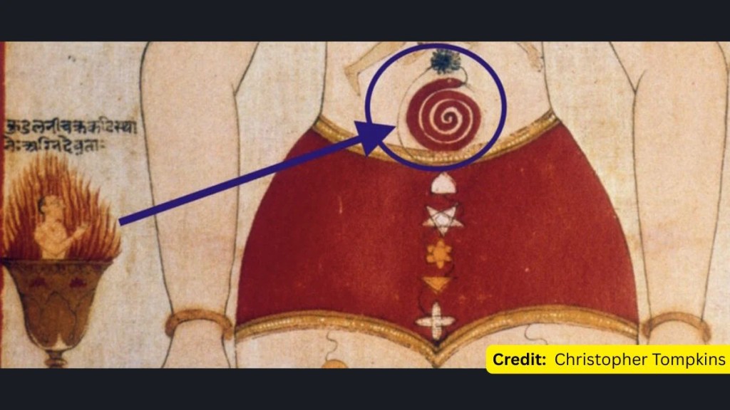 Ancient Indian manuscript detail showing a coiled red serpent at the base of the spine, representing dormant Kundalini energy.