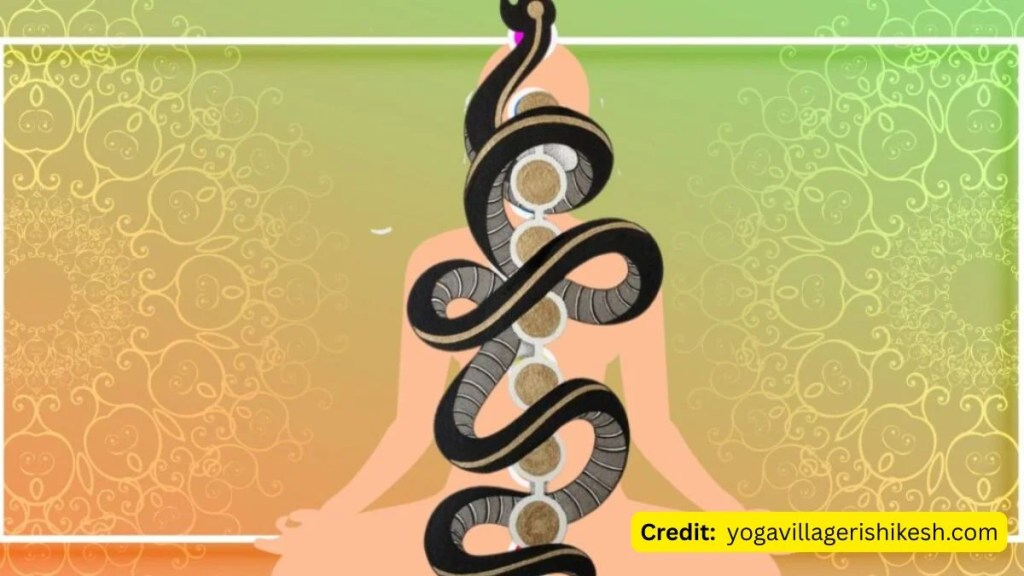 Illustration of two serpents intertwining around the spinal column of a meditating silhouette, representing the balance of masculine and feminine energies.