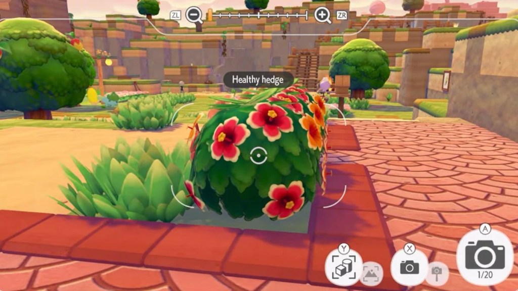 The in-game camera focusing on a Healthy Hedge decoration to take a reference photo in Pokémon Pokopia.