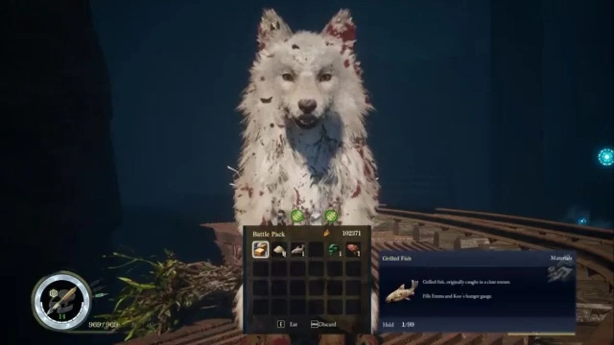 Beast of Reincarnation Koo Rapport Guide: How to Max Your Bond and Unlock the Closest Companion Trophy