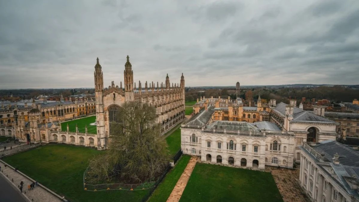 Jason Arday Resigns From Cambridge: How Plagiarism Claims, Qualification Questions and a Growing Investigation Led to a Stunning Exit