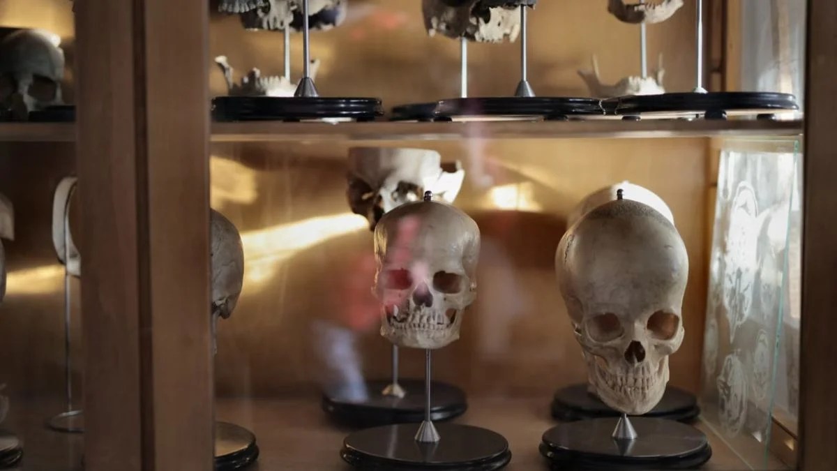 YouTuber Horses’ $3,000 “Ethically Sourced” Human Skull Listing Raises Questions Over Its Provenance