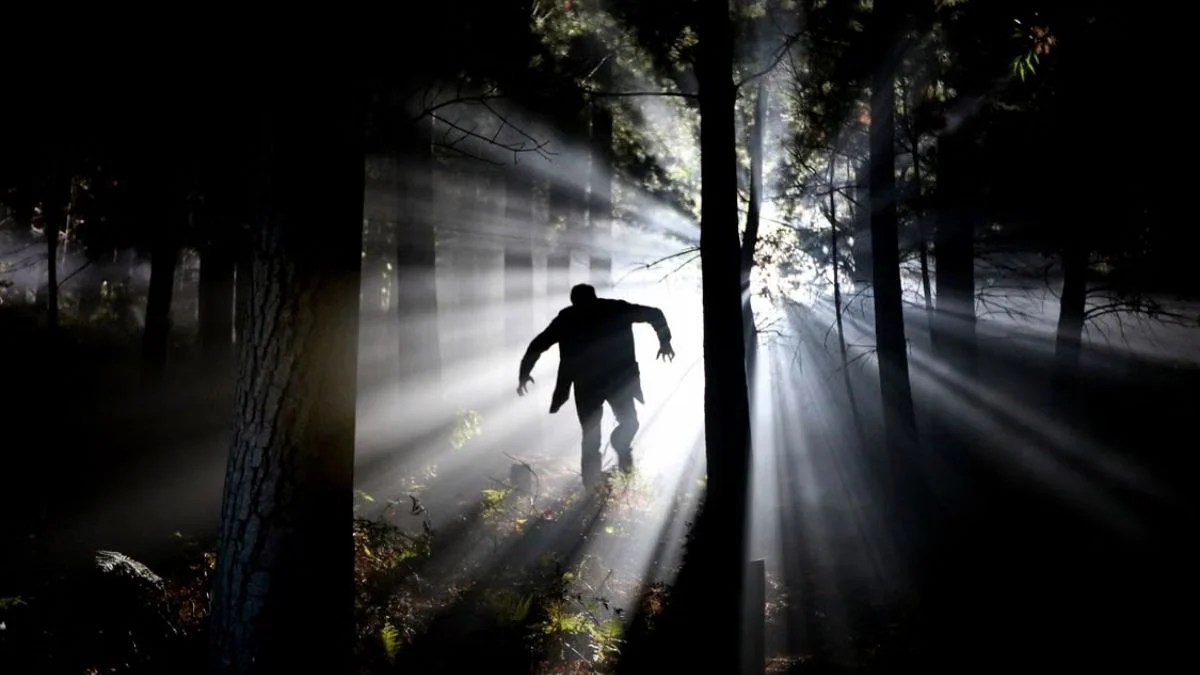 Maine Bigfoot Sighting Sparks Police Hunt — Then the “Creature” Is Finally Found